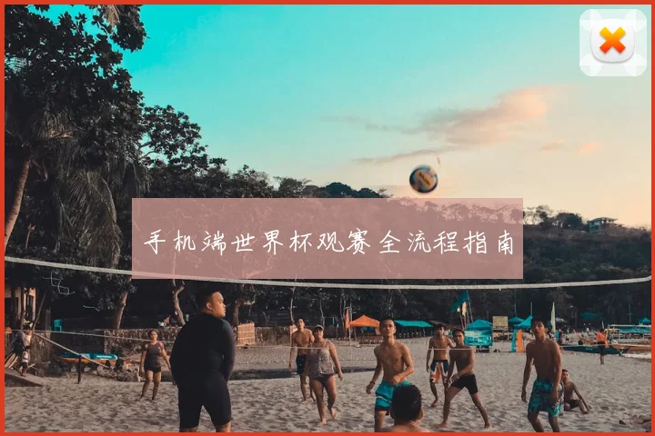 手机端世界杯观赛全流程指南