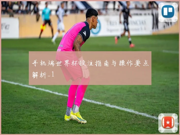 手机端世界杯投注指南与操作要点解析_1