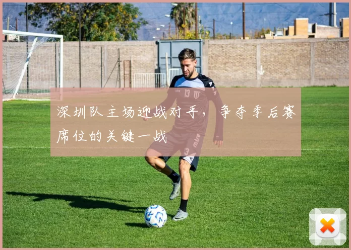 深圳队主场迎战对手,争夺季后赛席位的关键一战