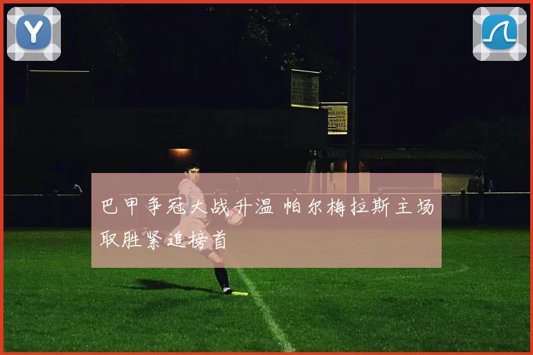 巴甲争冠大战升温 帕尔梅拉斯主场取胜紧追榜首