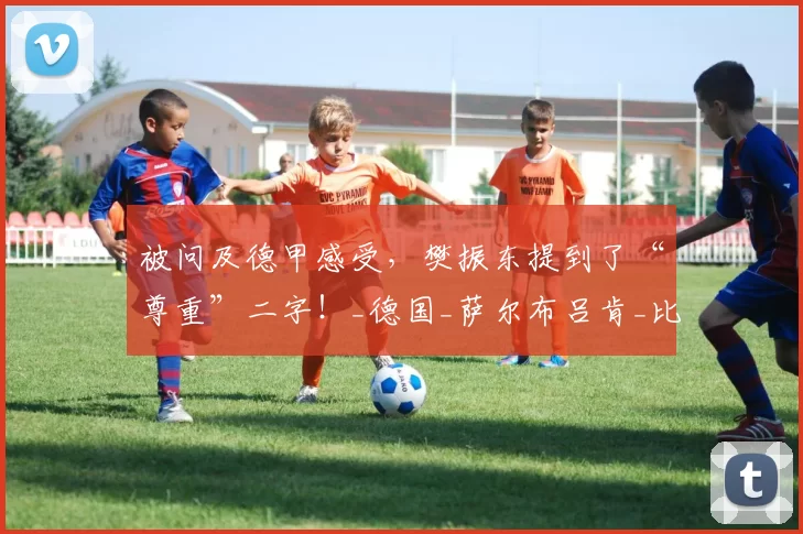 被问及德甲感受，樊振东提到了“尊重”二字！_德国_萨尔布吕肯_比赛