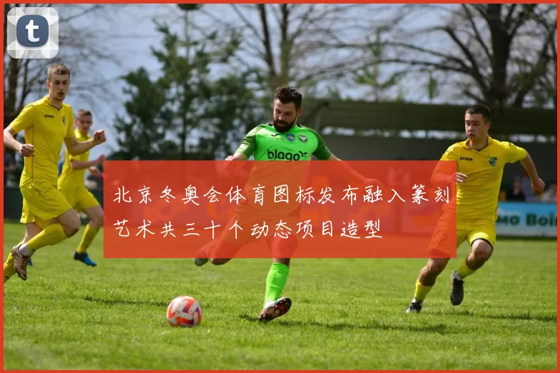 北京冬奥会体育图标发布融入篆刻艺术共三十个动态项目造型