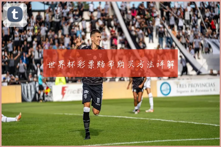 世界杯彩票赔率购买方法详解