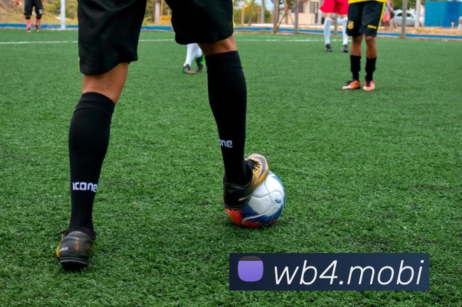 开云app登陆平台生态图